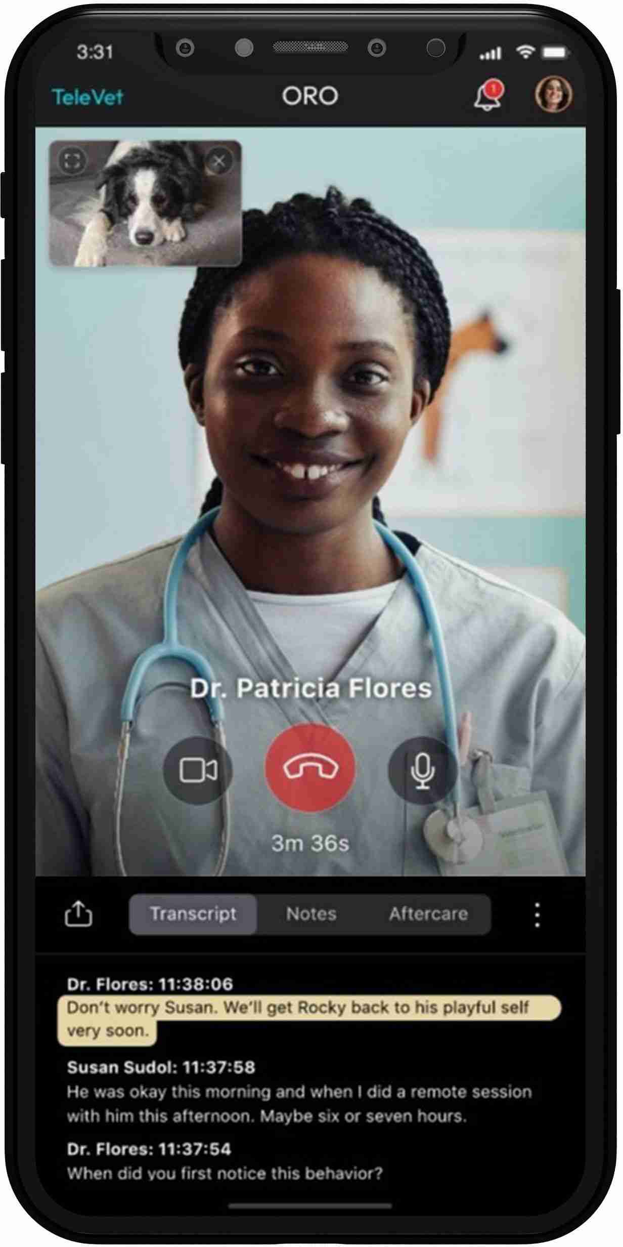 Online vet consultation